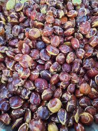Jengkol kecil 1kg