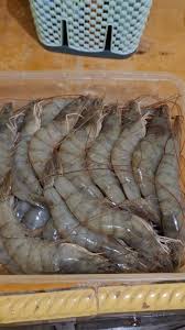Udang Vaname size 35-40 (1kg)