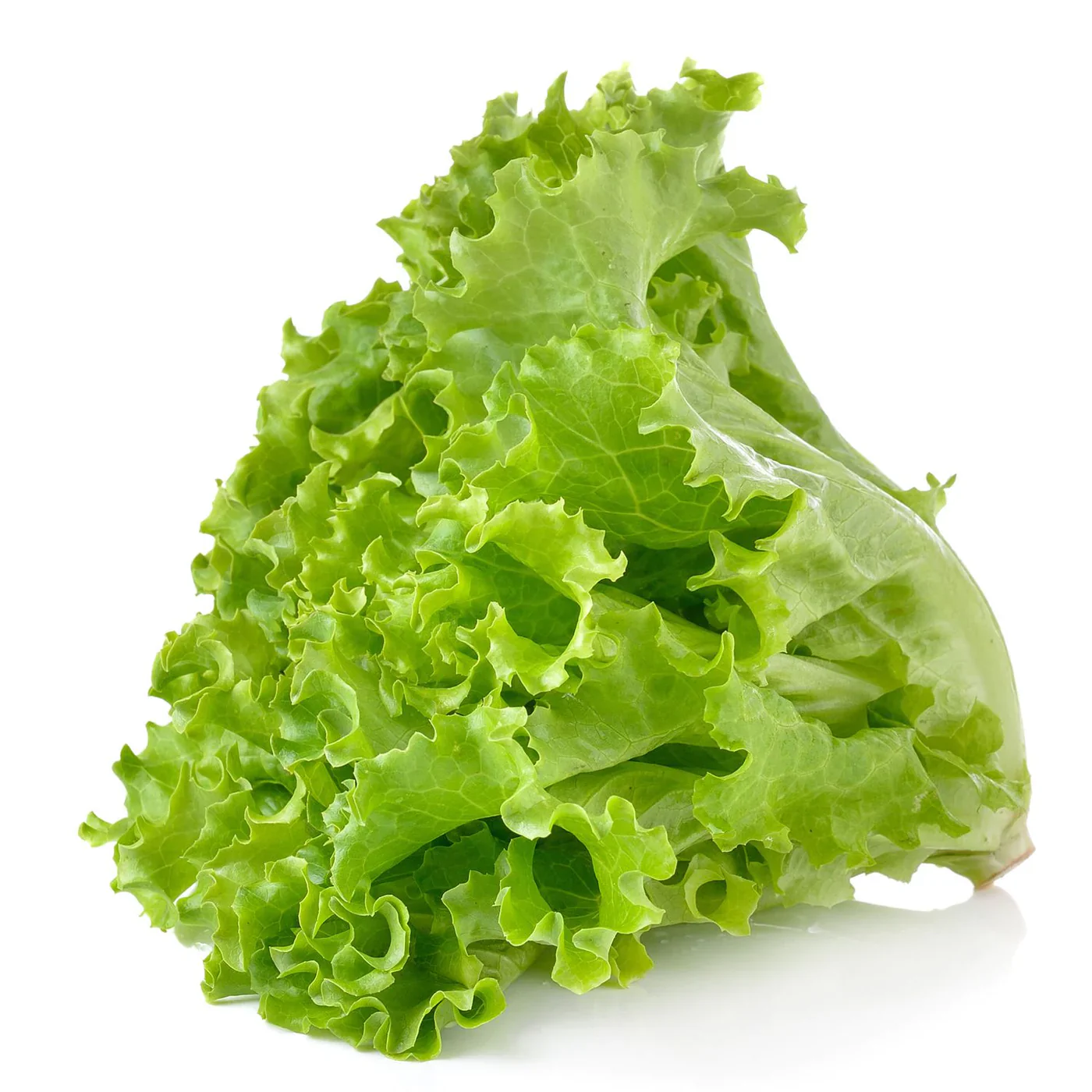 Selada