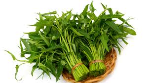 Kangkung ikat besar