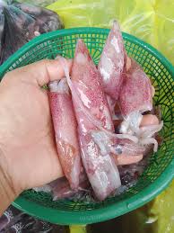 Cumi bunga 1kg
