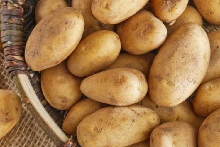 Kentang bandung sedang 1kg