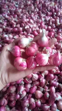 Bawang merah Wetan 1kg