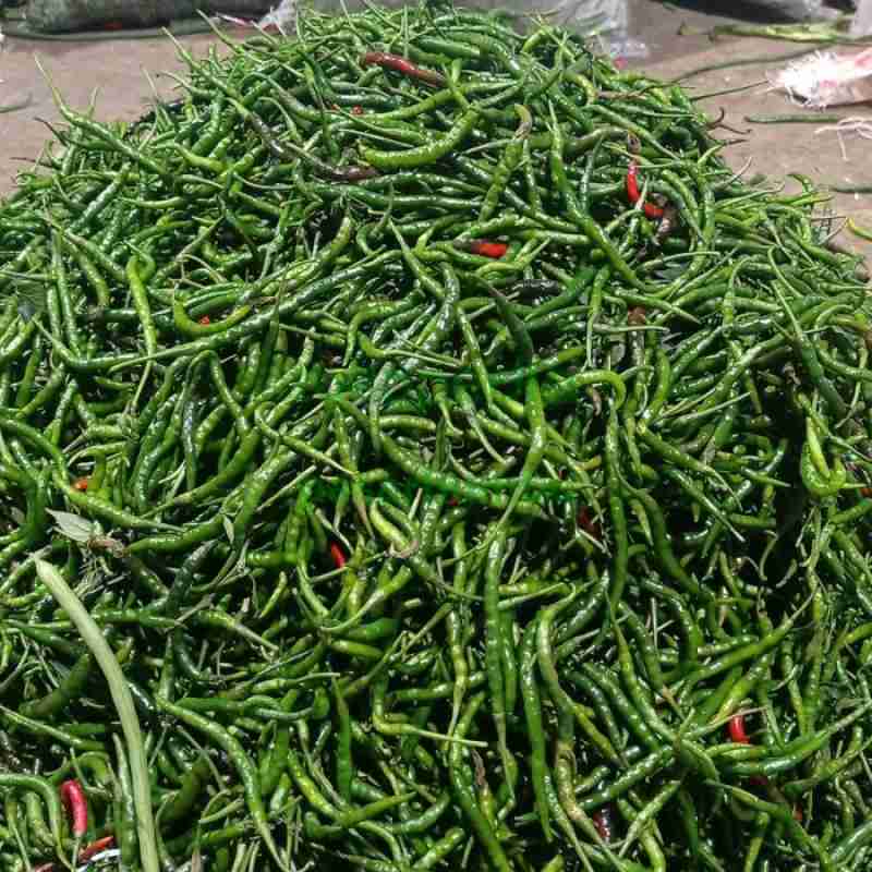 Cabai hijau kriting 1kg